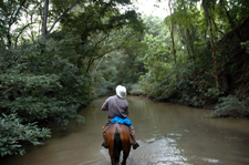 Costa Rica-Pacific Coast-Conquistadores Odyssey Explorer